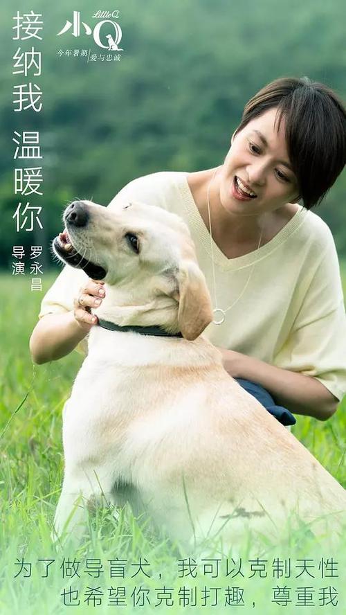 弗赖贝格工业大学硕士成绩单